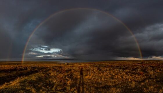 Pozytywne myślenie w biznesie - jak praktykować optymizm na co dzień i zmienić swoją firmę