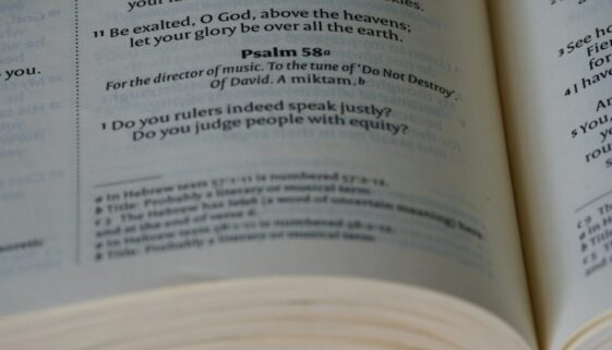 Szybkie czytanie w biznesie - jak czytać więcej raportów w krótszym czasie