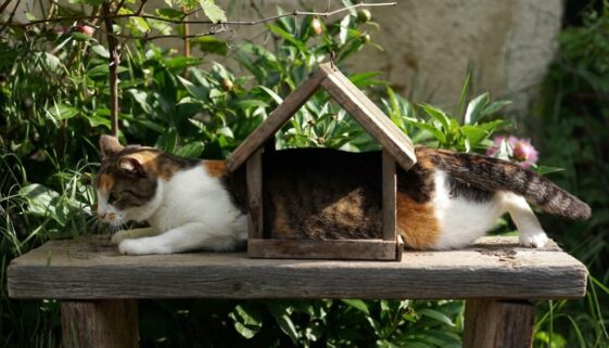 Jak radzić sobie z zazdrością w zespole - zrozumienie, co leży u jej podstaw